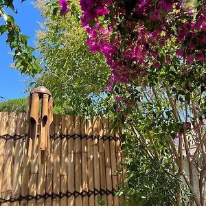 Appartement Avec Rez De Jardin, Six-Fours-les-Plages